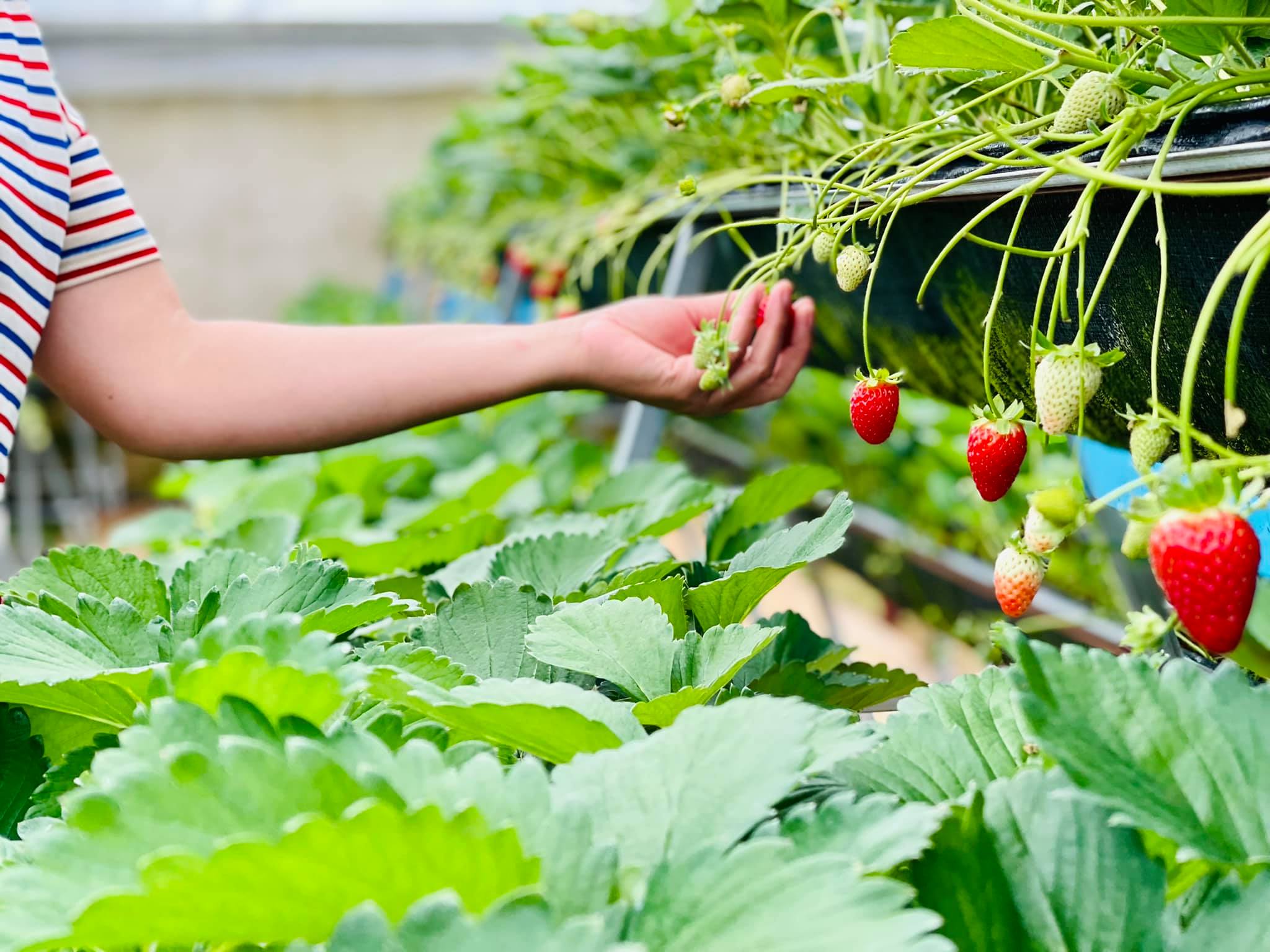 1677985744 213314168 362355235412893 1756999371474369519 N