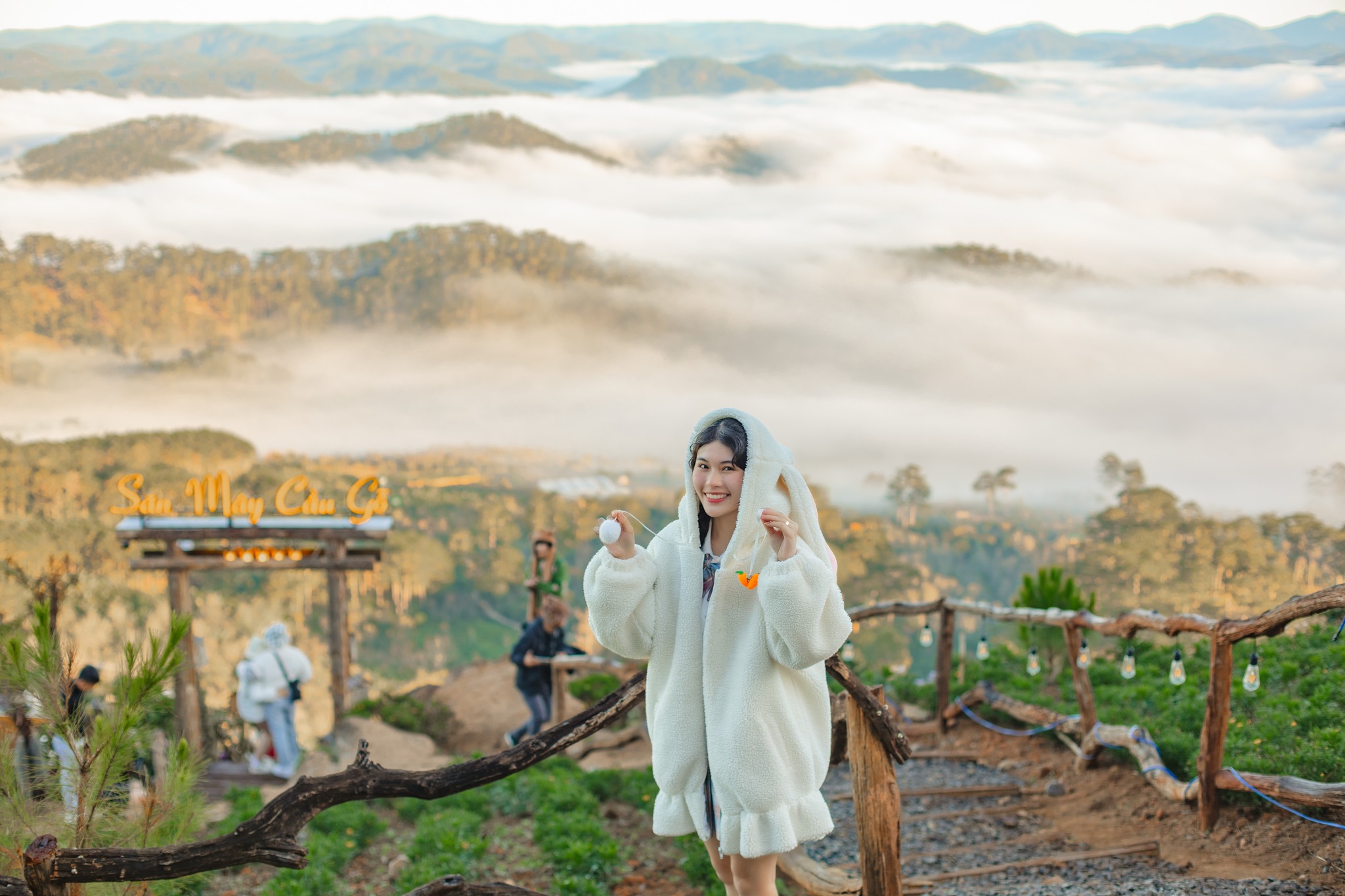 331526899 722349642725956 1227605668192369907 N 3