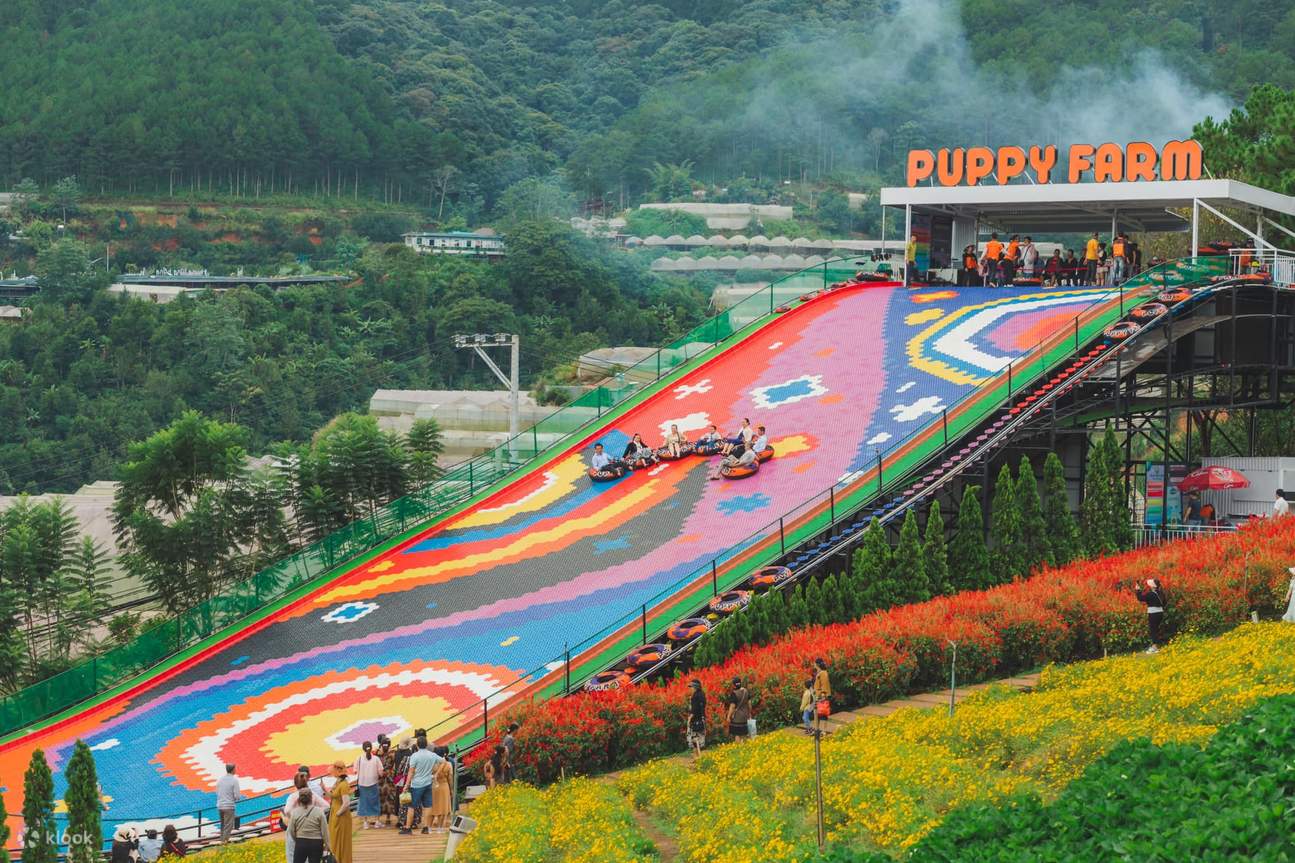 Tour Đà Lạt 1 Ngày Xe Ghép Đi Mongo Land Và Puppy Farm: Lịch Trình Chi Tiết Và Bảng Giá 2 Puppyfarmticketindalat