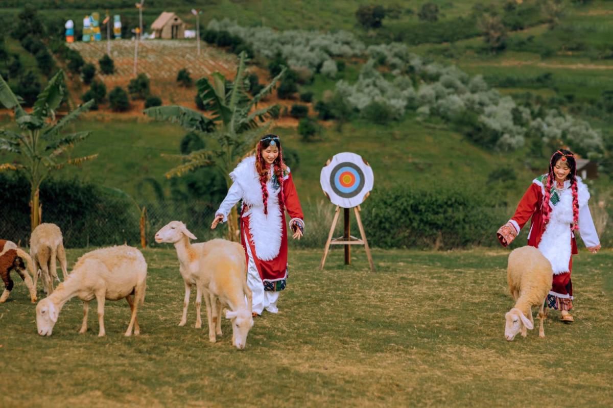 Tour Đà Lạt 1 Ngày Xe Ghép Đi Mongo Land Và Puppy Farm: Lịch Trình Chi Tiết Và Bảng Giá 4 Da Lat 91