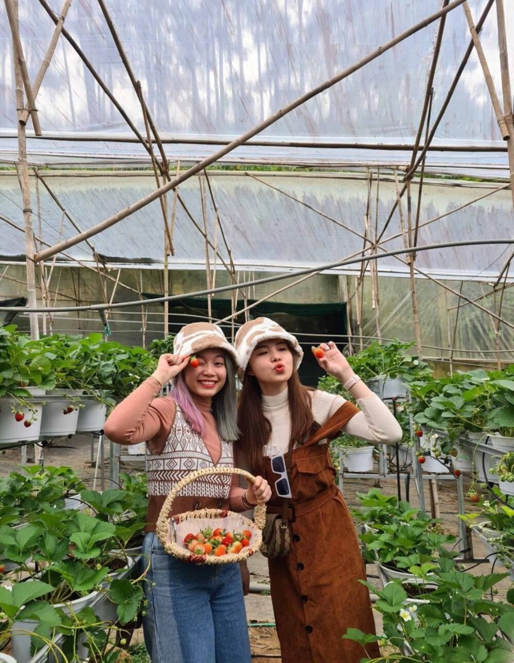 Mot Ngay Tuyet Voi Tai Vuon Dau Tay Da Lat 6