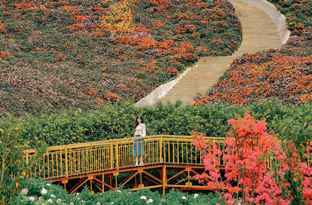 Nong Trai Cun Puppy Farm 16 1128