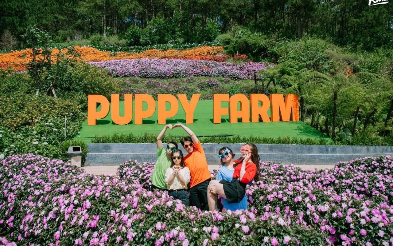 Xe Ghép Tour Đà Lạt 5-7 Chỗ: Đi Tour Chất Lượng, Giá &Quot;Hạt Dẻ&Quot; Cho Nhóm Bạn Và Gia Đình 3 Puppy Farm Da Lat 1942