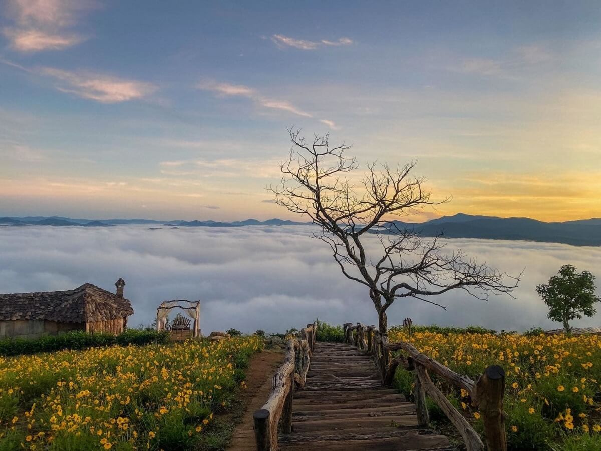 Xe Ghép Tour Đà Lạt: Giải Pháp Du Lịch Thông Minh, Tiết Kiệm Tối Đa Chi Phí 4 San May Da Lat 1 1688459324