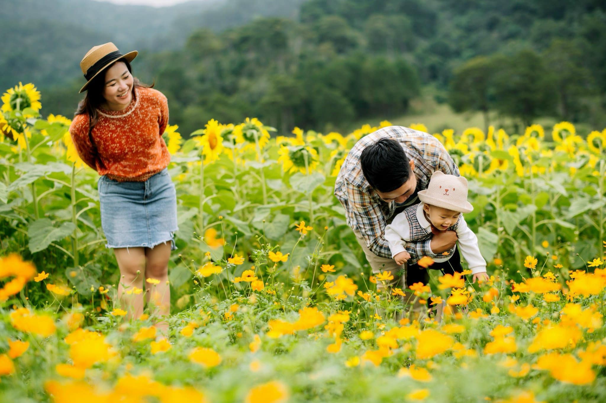 The Forest Da Lat Lac Buoc Vao Thien Duong Hoa Giua Xu So Mong Mo 4 1024
