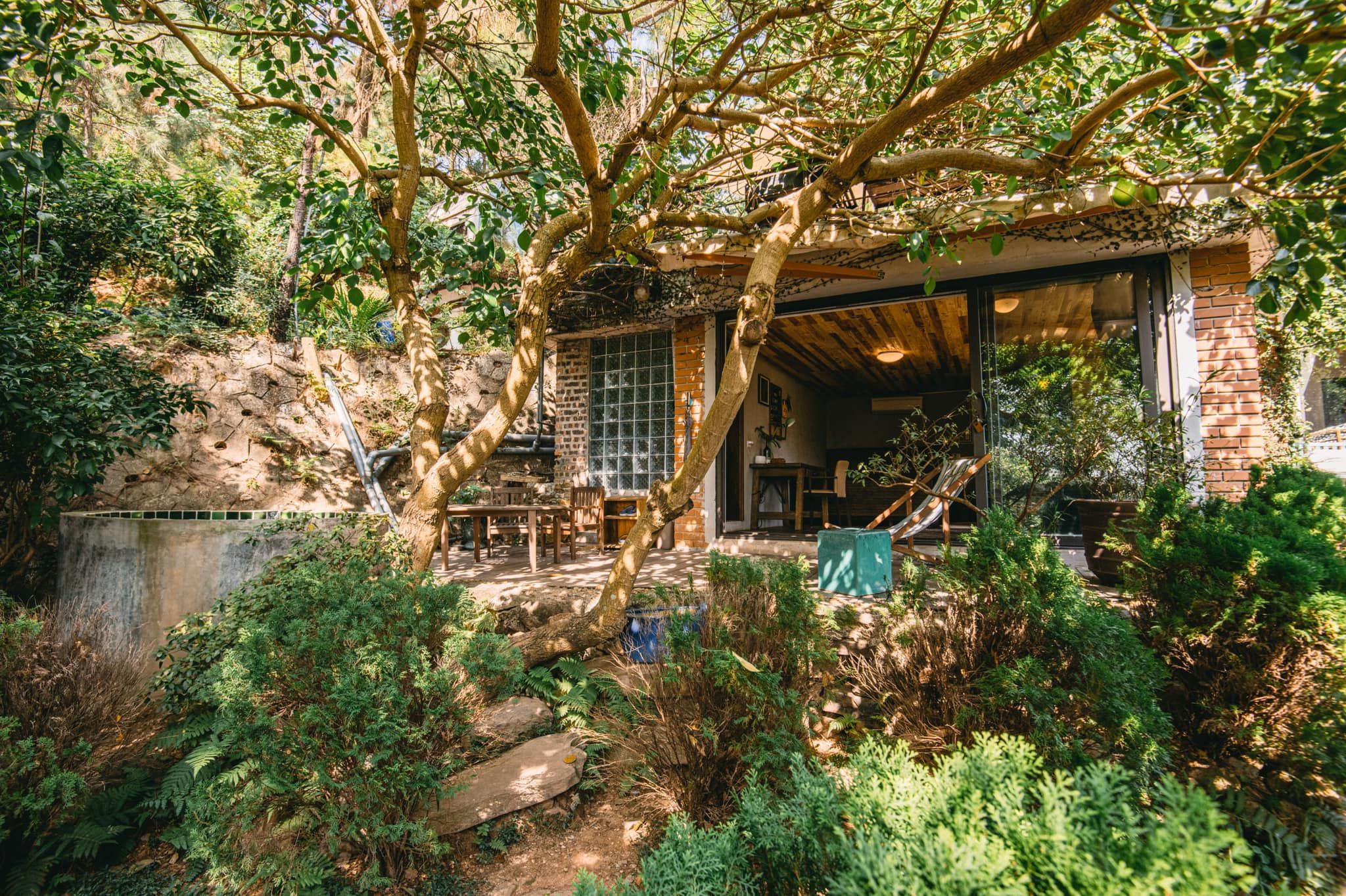 1650946040-Phong-Osaka-Nha-Ben-Rung-U-Lesa-Soc-Son-Ha-Noi-4 1650946040 Phong Osaka Nha Ben Rung U Lesa Soc Son Ha Noi 4