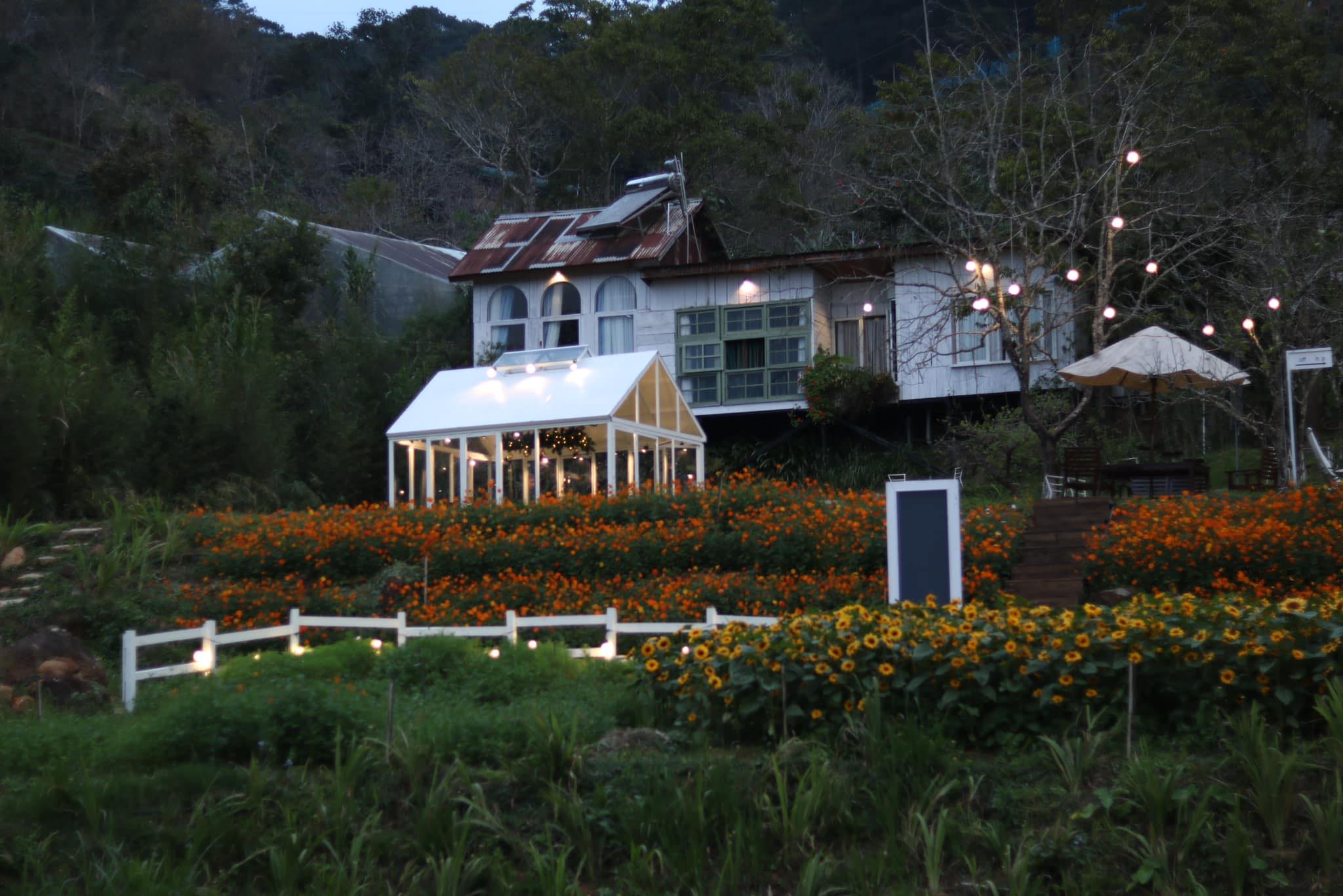 480644090 979386880953566 9061685439529728941 N