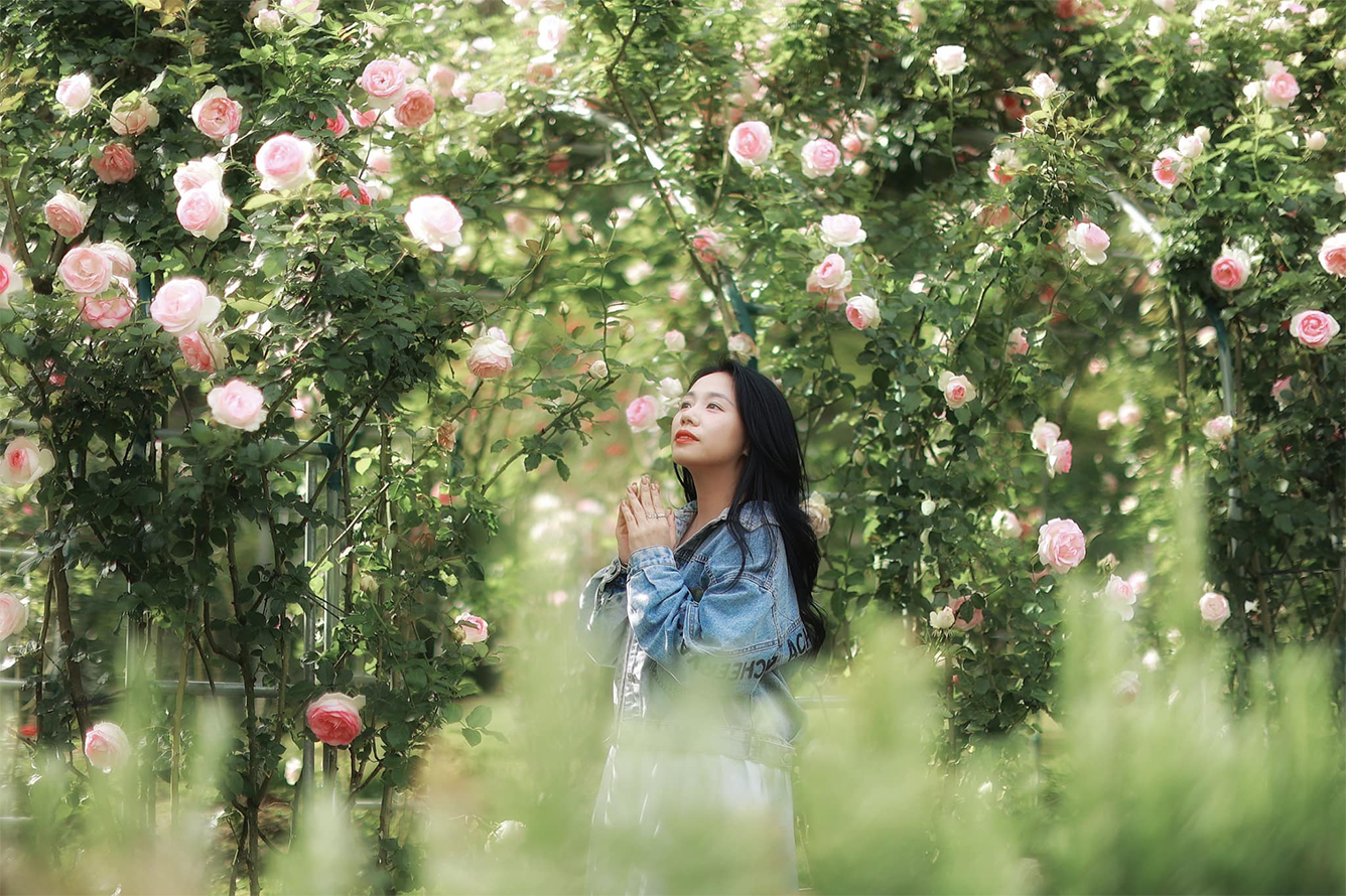 Khu Du Lich Cao Nguyen Hoa Da Lat Diem Den Sinh Thai 2025 3 1